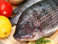 fish-recipes