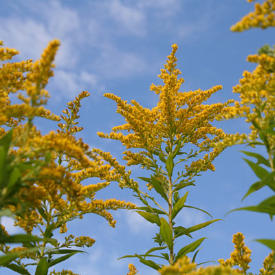 iStockphoto