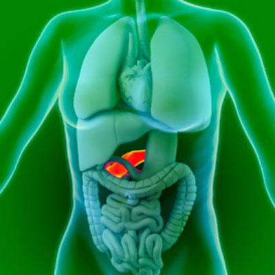 suagr-pancreas