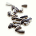 sunflower-seeds-memory