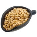 pine-nuts-scoop