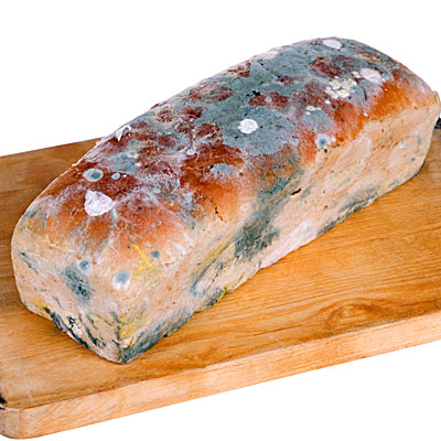 bread-loaf-mold-400x400.jpg