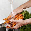 carrots-mold