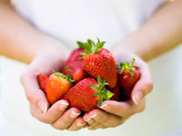 picked-strawberries