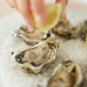 oysters