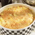 squash-casserole