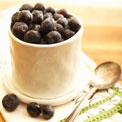 bilberry-herbs