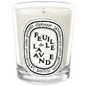 lavender-scented-candle-calm