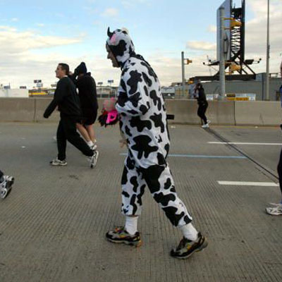cow-marathon