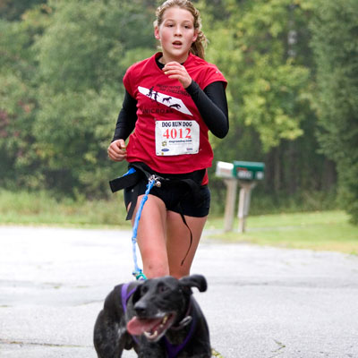 dog-run
