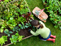 gardening-weight-loss