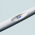 negative-pregnancy