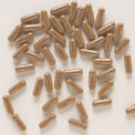 saw-palmetto