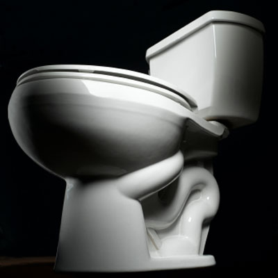 best toilet for large person