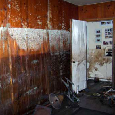 wall-mold-mildew