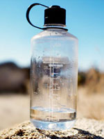 bpa-sperm