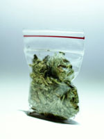 medical-marijuana