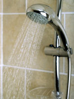 showerhead-bacteria