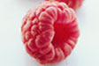 raspberry