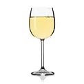 glass-white-wine