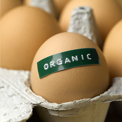 eggs