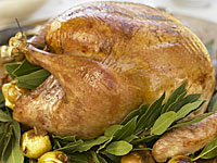 thanksgiving-turkey