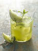 fuentes-mojito