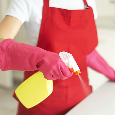 more-cleaning-products