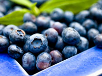 blueberries nutrition