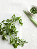 herb