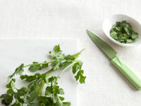 cilantro