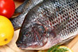 tilapia-cholesterol