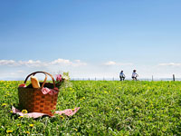 picnic-treats-under-80