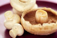 mushrooms-breast-cancer