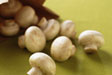 mushrooms-save