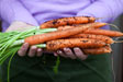 organic-veggies