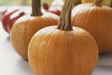 pumpkin-q-and-a