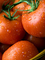tomatoe-yikes