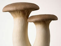 wild-mushroom