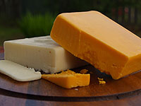probiotic product