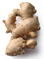 ginger-science