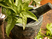 mint remedies