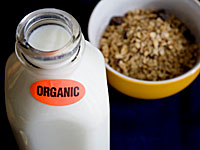 organic-milk
