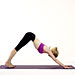 downward-dog-yoga