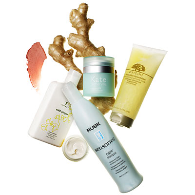 Beauty Health Products on Spice Up Your Beauty Routine With Ginger Health Com