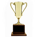 gold-trophy-award