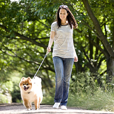 stripes-walking-dog