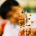 autism-genes-