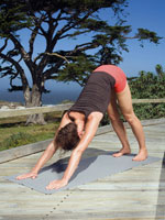 downward-dog-yoga