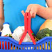 eat-veggies